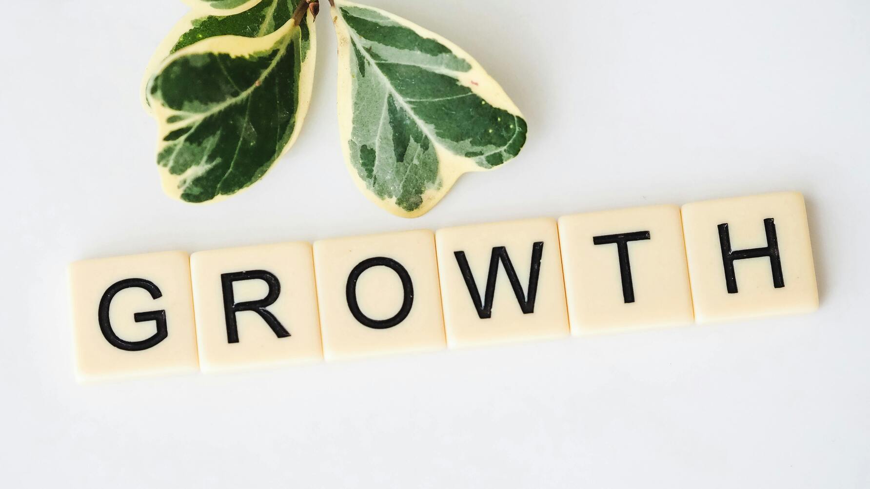 Letter tiles spelling ‘GROWTH’ on a white background with a small variegated green leaf above.